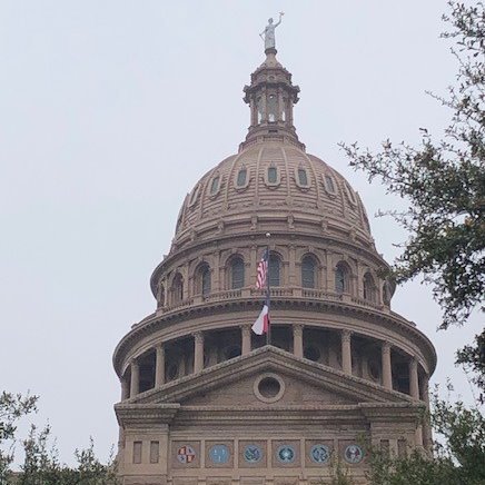 Dedicated to advancing public policy initiatives advocating for informed choice, quality care, and accessibility for all Texans.