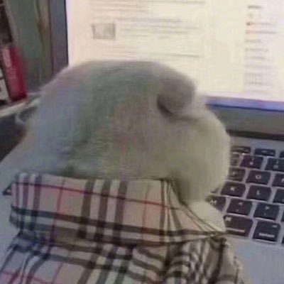 200803547's profile picture. 