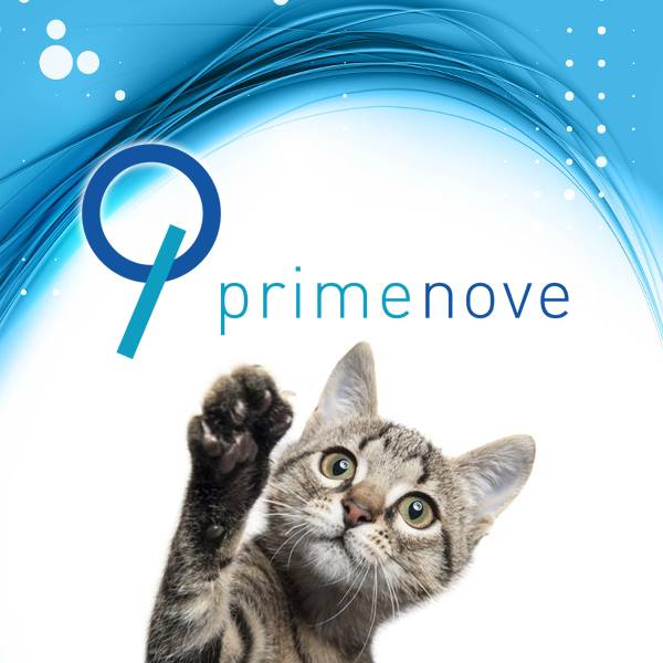 We are the exclusive Australian & NZ distributors of Pet Accessories direct from Italy and we are excited to officially launch Primenove Oceania on June 15-