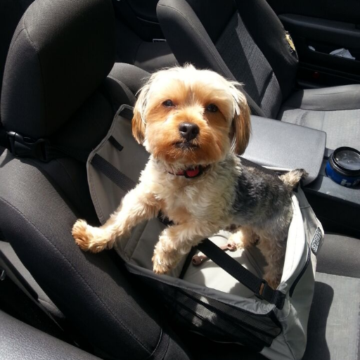 brj1985's profile picture. 