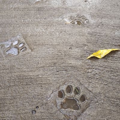 RachanaKulkar14's profile picture. 