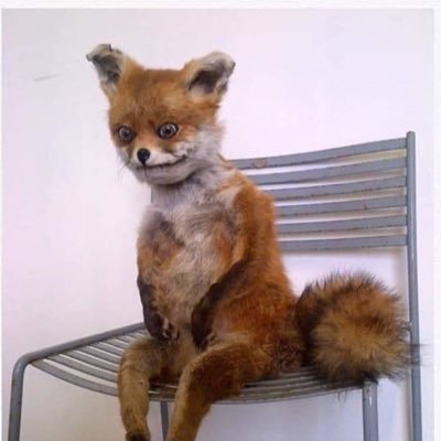 WallStreetFuchs's profile picture. 