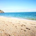 India Walsh - @india_walsh - Twitter