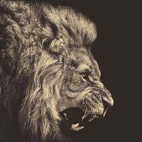Clinton.Pπ° (@suparocking) 's Twitter Profile