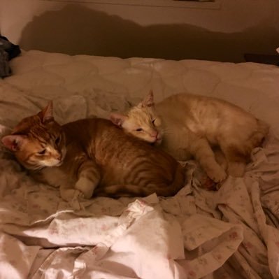 Millaydee1's profile picture. 