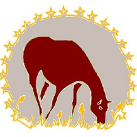 EWEN (@ewen2024) 's Twitter Profile