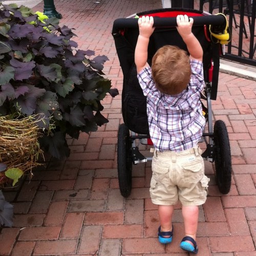 texasstumps's profile picture. Tech Guru,  Engineer, Home Theater aficionado, Father, Dog Lover