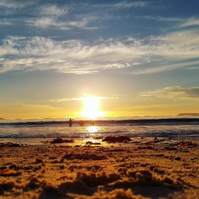 mimonoamedioyyo's profile picture. 