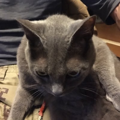 海老谷 Seiki Ebitani Twitter 海老谷 Seiki Ebitani Twitter