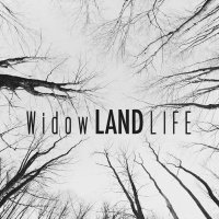 widowlandlife(@widowlandlife) 's Twitter Profile Photo