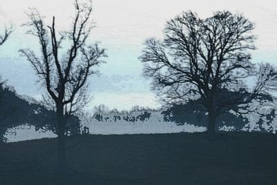 forsaken_lonely's profile picture. 🌫👤🌫