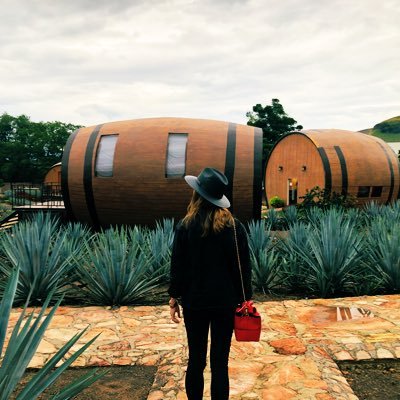 PaulaAmaroA's profile picture. déjalo fluir