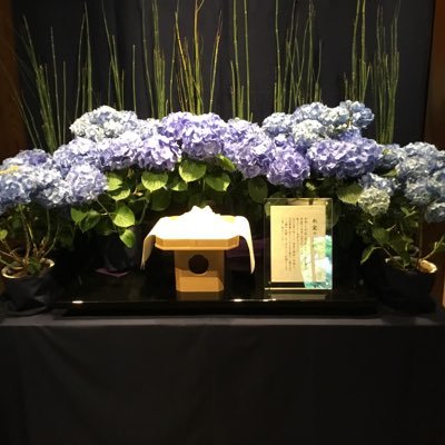 ram202011's profile picture. とかいなかの歯医者