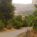 INRAA Innovation (@inraalgeria) Twitter profile photo INRAA Innovation (@inraalgeria) Twitter profile photo