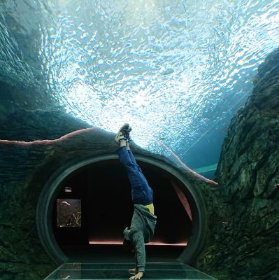 kakatsuyuki's profile picture. 新潟
日本
FMニイガタリスナー