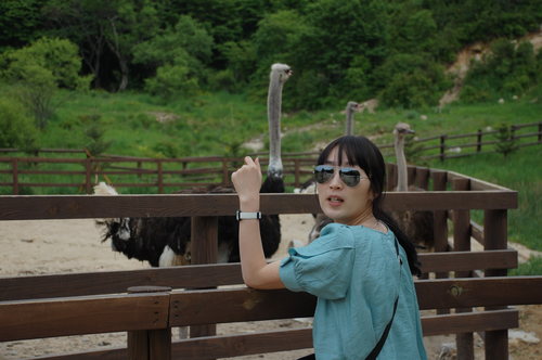 ccogong2's profile picture. 트윗초보 ㅠㅠ