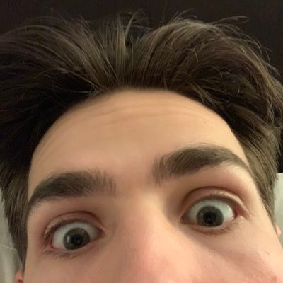 DylanModesitt's profile picture. i just like computers