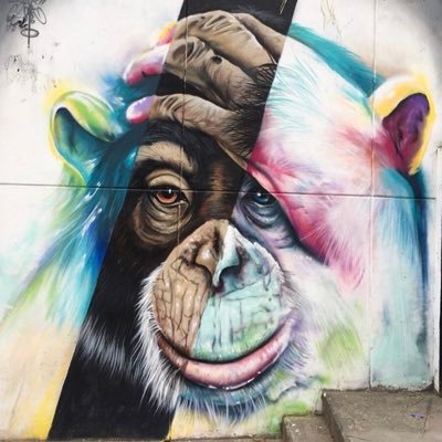 maxdis92's profile picture. 