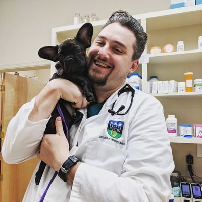 thewoofdoctor Profile Picture