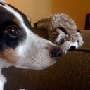 Baxter Black - @TheBaxterBlack - Twitter