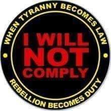 FrancisJr86's profile picture. #AMERICAFIRST #MAGA #2ndAmendment 
The American Constitution is Absolute Law. Any Law that Opposes it is invalid.
