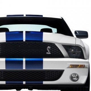 Ruben_cordovez's profile picture. 