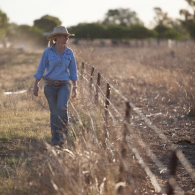Veterinarian, Ruminant Nutrition, Cattle, Sheep, Horses and Painting Pretty Things! #missvet