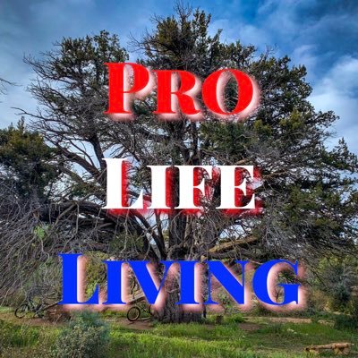 #ProLife ⭐️ #Patriot 🇺🇸 #TruthDealer ⭐️#HopeSlinger 🇺🇸 #ChildOfTheOneTrueKING ✝️ #ProLifeGeneration ⭐️#AbortionIsMurder