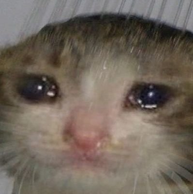 QbHGJIC6600M4Xu's profile picture. 