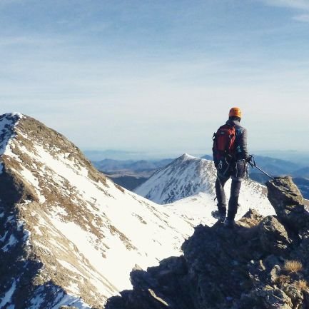 totgris's profile picture. 