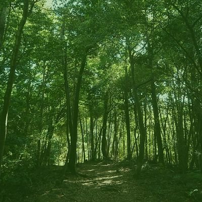 _A_I_Z_U_'s profile picture. ・ サッカー (日本代表、海外サッカー)

・新日本プロレス 

・ゲーム ( #STEAM #switch) 

・お酒(ビール、蒸留酒)
を好む日本人