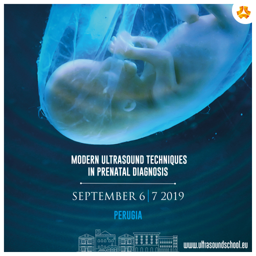 Open to medical professionals who shall further develop appropriate skills and methodologies in maternal-fetal scan.