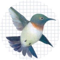 三好草平 (@hummingbird1979) 's Twitter Profile