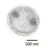 Carding_lab Profile