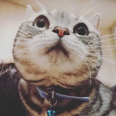 |消費者行動と組織|ツイートは所属する組織の意見を代表するものではありません。|試行錯誤是好日|だってだって人間だもの。
👪子ども服の安全性プロジェクト
👉【写真・データ/WEB】
https://t.co/4H2zkDXUU4