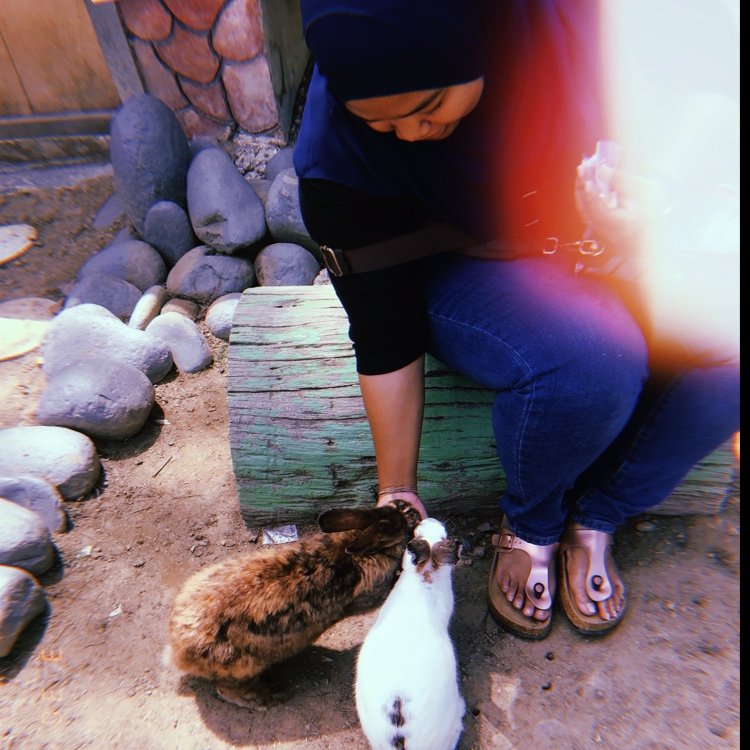 rabienadia's profile picture. 