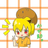 かぴ助。(@kapibarahiro) 's Twitter Profile Photo