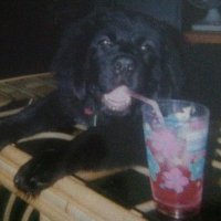 ccmurf (@ccmurf1) 's Twitter Profile