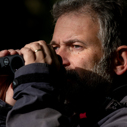 Petr Voříšek Profile