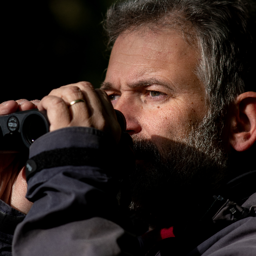 Active in international bird monitoring on behalf of European Bird Census Council, based at Czech Society for Ornithology, also freelance ornithologist.