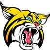 BR Boys Basketball (@brbobcatsbball) Twitter profile photo