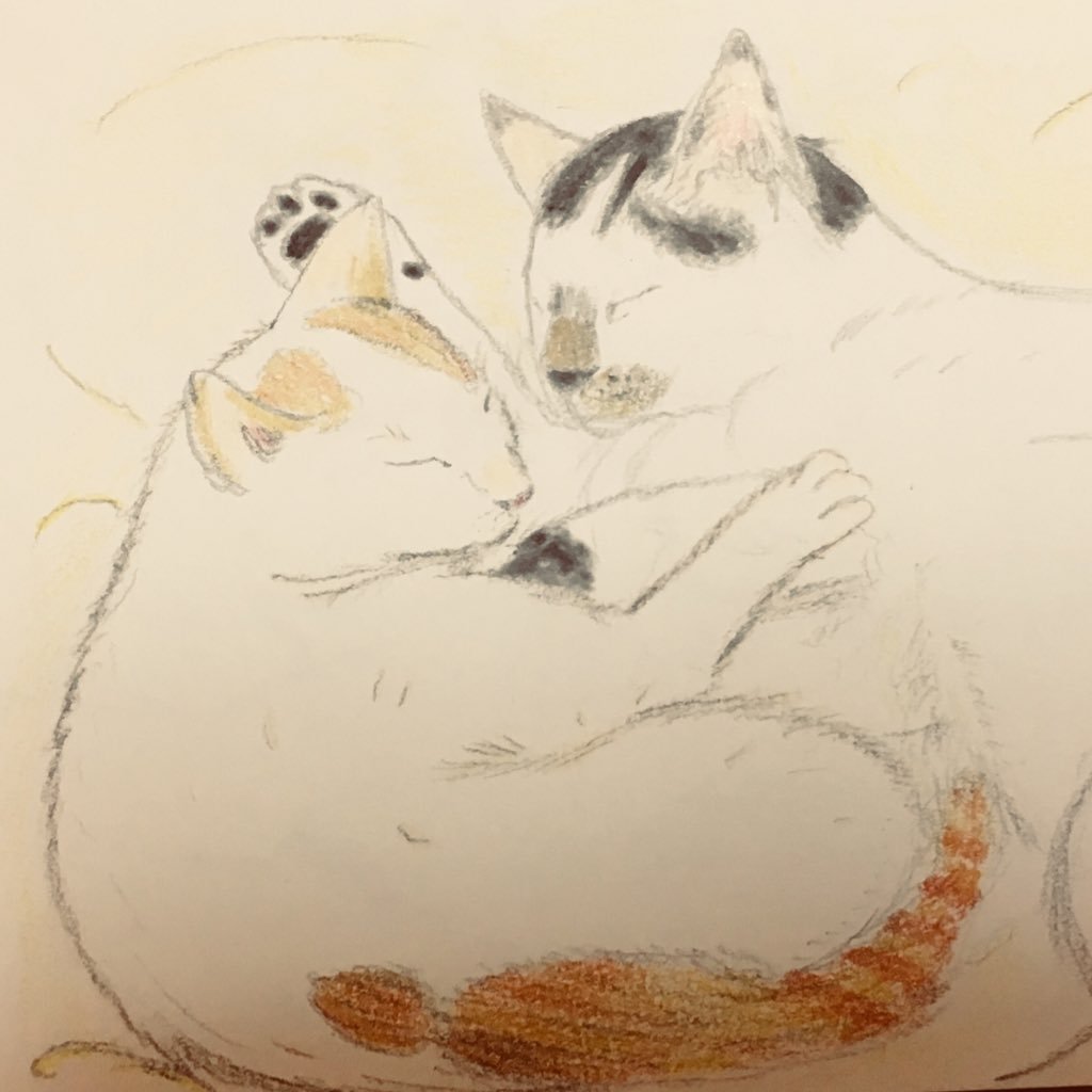 Rc50S's profile picture. 人にも動物にも優しい社会にしたい。#ベジタリアン