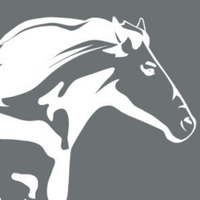 Horsepower Xp (@horsepowerxp) 's Twitter Profile
