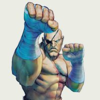 四代目 (@yondaime_sagat) 's Twitter Profile