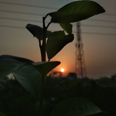 Shashan09699226's profile picture. Shashank