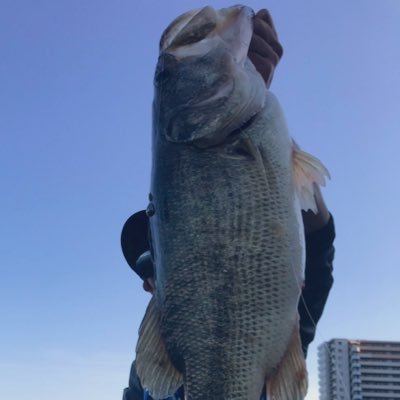とりあえず釣れる魚はなんでも釣りたい。野池、河川、サーフやロックショアの海釣りまでなんでもやります🙆♂️🙆♂️ 特に地元アングラーの方々宜しくお願いします🤲