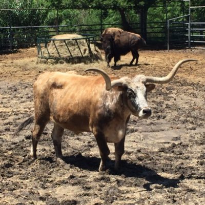 awswife's profile picture. 