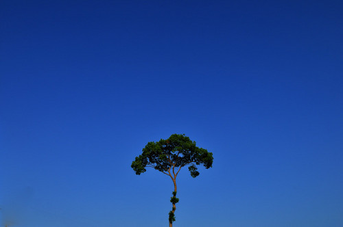 写真が好きで、静かな風景をテーマにいろんな写真を撮ってます( ^  ^ )