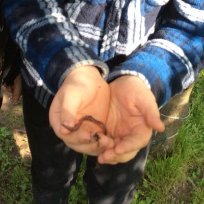 Forest School at Foley Park Academy