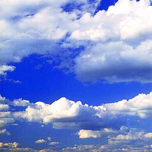 FailedCarpenter's profile picture. Follow me, as you should